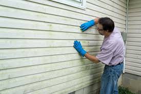 Best Wood Siding Installation  in North Pearsall, TX